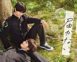 五级毛片免费播放海报剧照